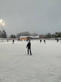 Warren Park Winter Ice Rink photo 3
