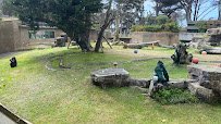 Gorilla Preserve