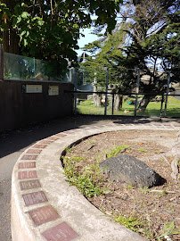 Gorilla Preserve photo 6