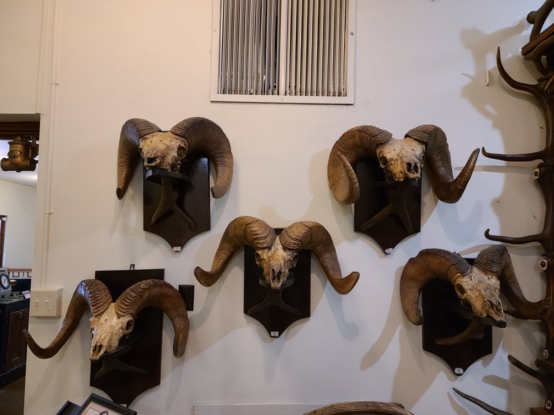 Royal Gorge Regional Museum & History Center photo 3