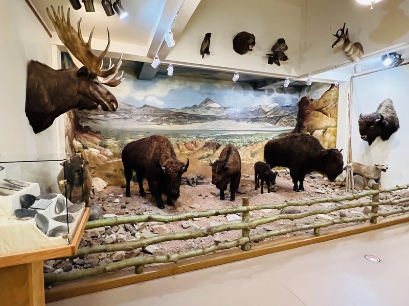 Royal Gorge Regional Museum & History Center photo 4
