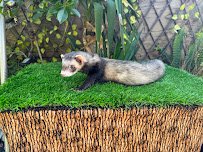 Zovargo | Mobile Zoo Animal Encounters & Education Programs