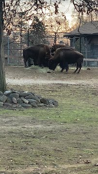 Lords Park Zoo photo 2