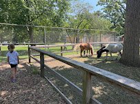 Lords Park Zoo photo 3