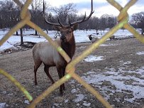 Lords Park Zoo photo 4