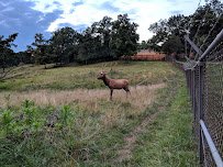 Lords Park Zoo photo 5