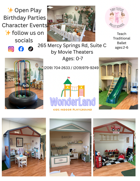 Wonderland Kids Indoor Playground