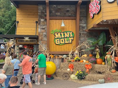Gatlin’s Mini Golf photo 4