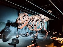 Discovery Center of Idaho photo 5