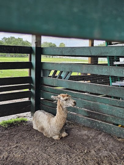 River Ranch Petting Farm photo 4
