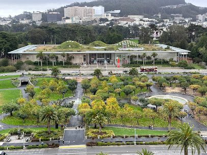 de Young Museum photo 4