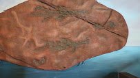 St. George Dinosaur Discovery Site at Johnson Farm photo 2