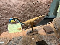 St. George Dinosaur Discovery Site at Johnson Farm photo 5