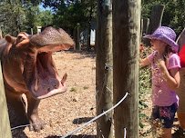 Capital of Texas Zoo