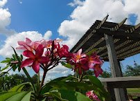 South Texas Botanical Gardens & Nature Center