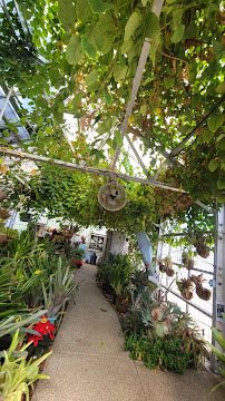 South Texas Botanical Gardens & Nature Center photo 2