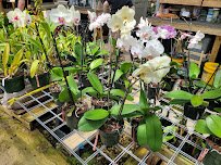 South Texas Botanical Gardens & Nature Center photo 4