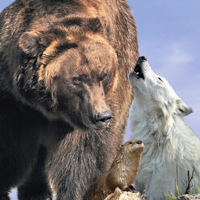 Grizzly & Wolf Discovery Center