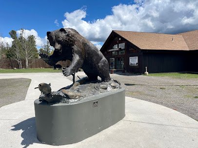 Grizzly & Wolf Discovery Center photo 3