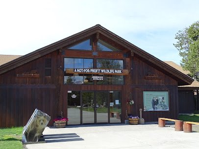 Grizzly & Wolf Discovery Center photo 4