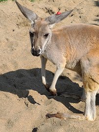 Indianapolis Zoo Admissions Building