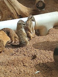 Indianapolis Zoo Admissions Building photo 3