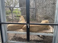 Indianapolis Zoo Admissions Building photo 4