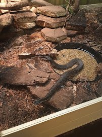 Indianapolis Zoo Admissions Building photo 5