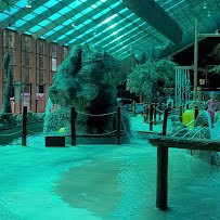 Wild Bear Falls Water Park photo 2