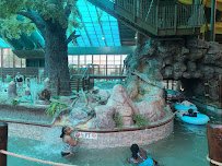 Wild Bear Falls Water Park photo 4