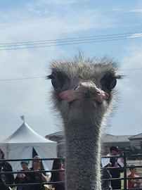 Tumbleweed Ranch photo 3