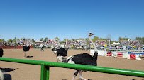 Tumbleweed Ranch photo 6