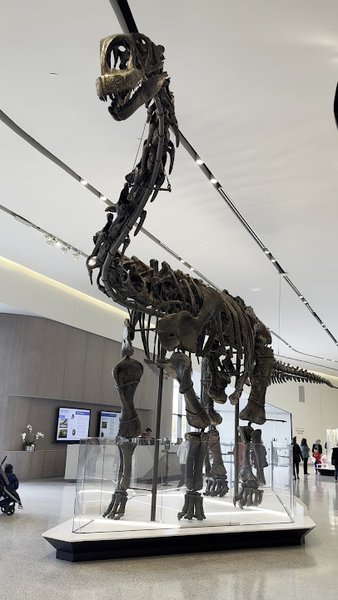 Cleveland Museum of Natural History photo 2