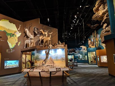 Cleveland Museum of Natural History photo 3