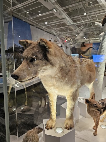 Cleveland Museum of Natural History photo 5