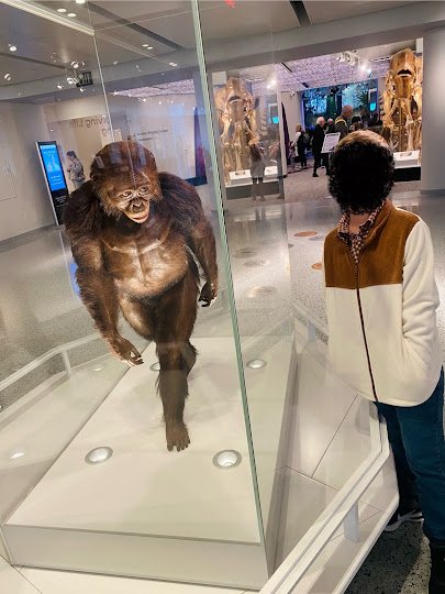 Cleveland Museum of Natural History photo 6