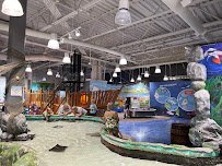 Blue Zoo Aquarium Spokane photo 3