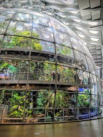 California Academy of Sciences