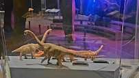 California Academy of Sciences photo 2