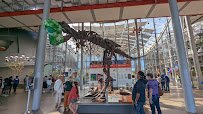 California Academy of Sciences photo 3