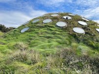 California Academy of Sciences photo 4