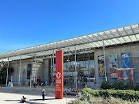 California Academy of Sciences photo 5