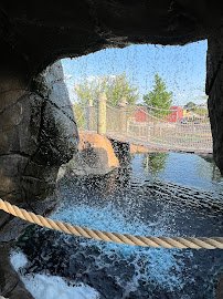 Valley Falls Adventure Golf photo 4