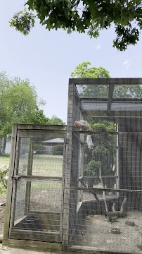 Animal Farm Petting Zoo photo 2