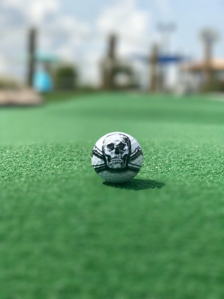 Mr. Putty's Fun Park photo 4