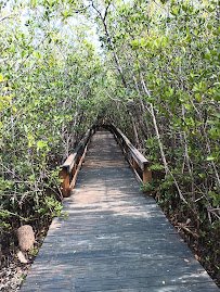 Florida Oceanographic Coastal Center photo 5