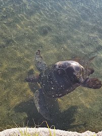 Florida Oceanographic Coastal Center photo 6