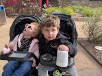 Desert Botanical Garden photo 2