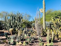 Desert Botanical Garden photo 3
