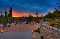 Desert Botanical Garden photo 6